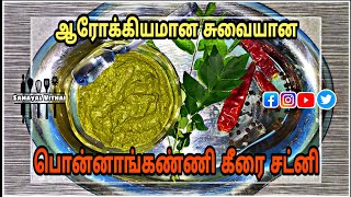 Healthy Ponnanganni Keerai Chutney | பொன்னாங்கண்ணி கீரை சட்னி |Samayal Vithai | Maddy Vinu