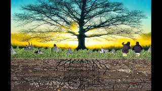 Download Lagu Jayati - \ MP3 Download Lagu Jayati - \ MP3