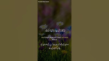 تلاوه رائعه تُذهب عنك الحزن "اليوم نختم على افواههم وتكلمنا ايديهم" للقارئ الشيخ عاصم 💕 | Quran