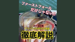 【バス釣り】なぜフリーリグでの釣果が多いのかそれには理由がある