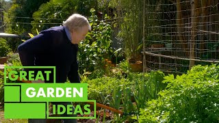 Veggie Garden Hints and Tips | GARDEN | Great Home Ideas