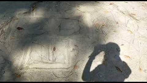 DEC40082 MULTIMEDIA (PW5) : How To Play Our Traditional Games?