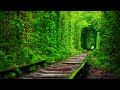 Beautiful Relaxing Music for Stress Relief🌿 Healing Music For The Heart, Blood Vessels
