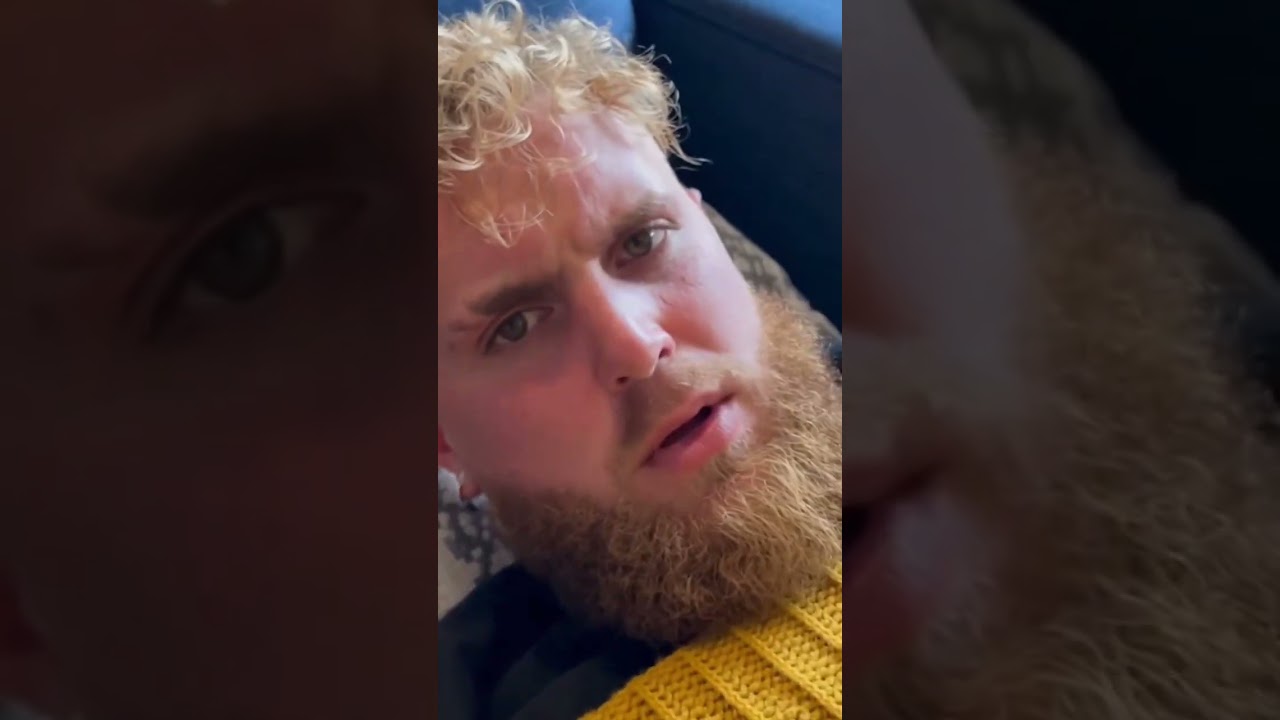 we are jake paul's mouth and we carry the cat yank me a follow will ya