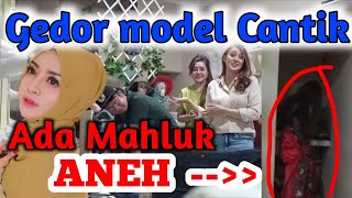 Mahluk aneh di rumah model..