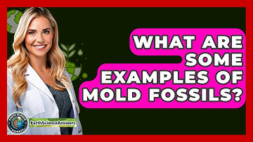 What Are Some Examples Of Mold Fossils? - Earth Science Answers