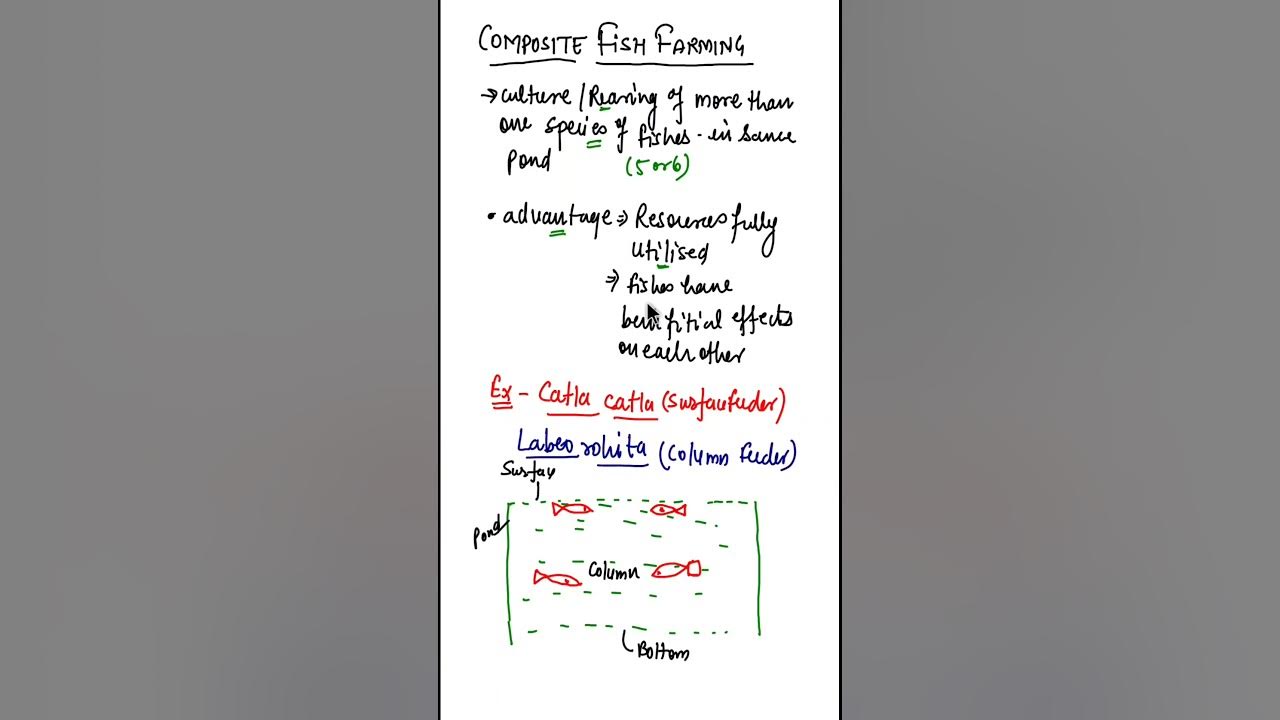 what-is-composite-fish-farming-composite-fish-culture-biologyshort
