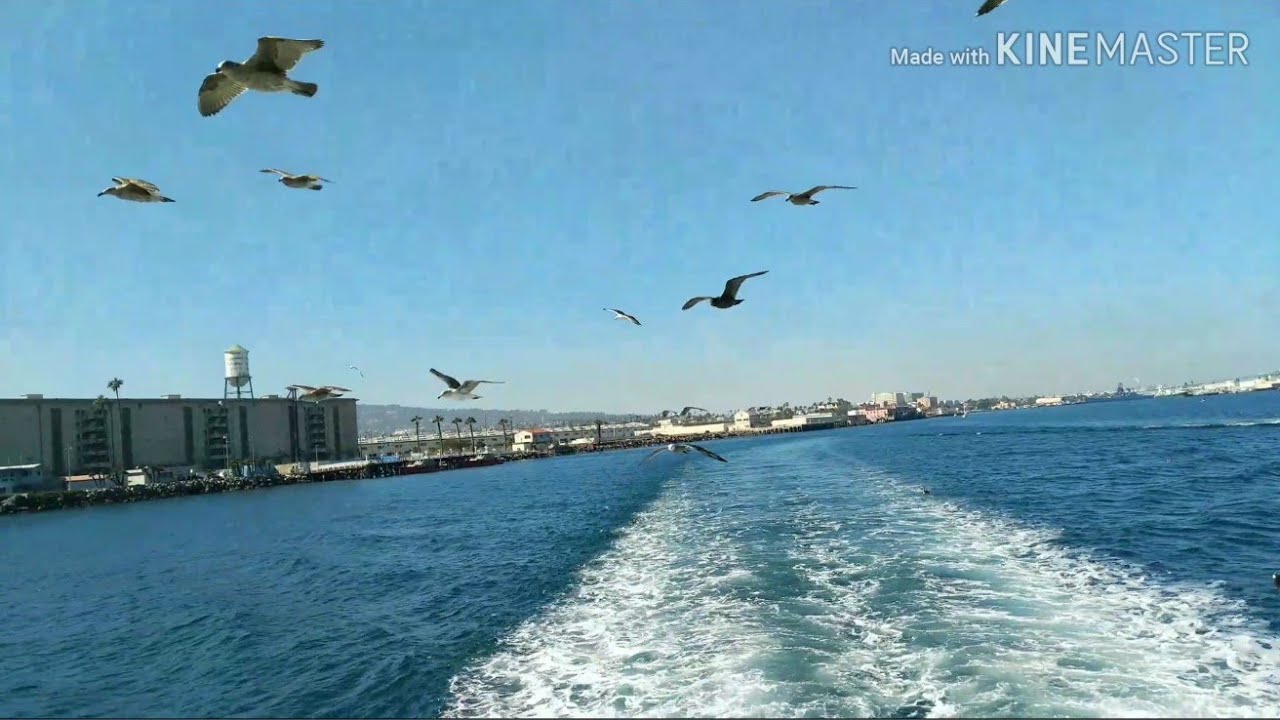 long beach harbor cruise