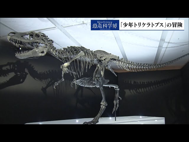 中継】恐竜科学博 「少年トリケラトプス」の冒険 後編 - YouTube