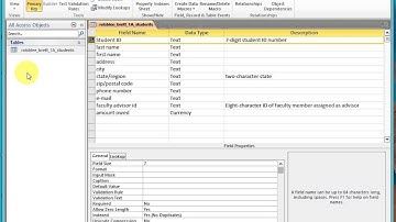 Viewing a primary key in design view - Activity 1.10