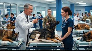 ER Director Left 6 Injured Military K9s With One Nurse as a Joke — She Saved Them All in 1 Hour
