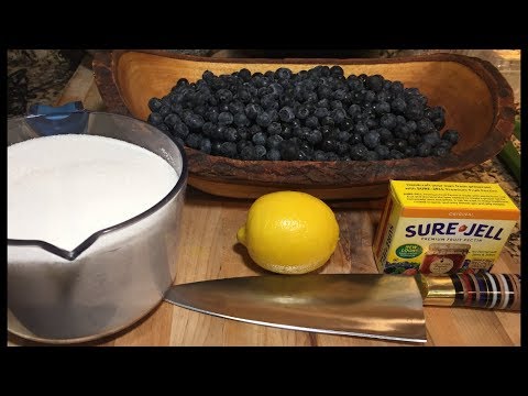 Blueberry Jam/Blueberry Preserves/How to Make Jam/BLUEBERRY JAM RECIPE/NO SUGAR OPTION JAM