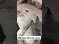 bearing crack #repairshop #riksha #bearing #service #repair #growth #viral #shortvideo #knowledge