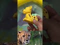 Jungle Animal Names and Facts for Kids | Educational Toy Learning Video