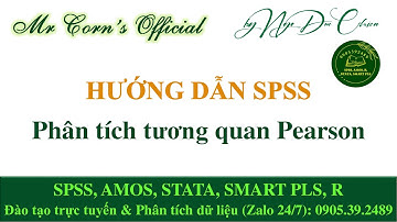 Hướng dẫn SPSS | Hướng dẫn thực hiện Phân tích tương quan Pearson trên SPSS 20092024