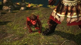 Path of Exile: Monkey Pet Path of Exile: Monkey Pet