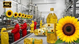 Sunflower Oil Production: From Seeds to Bottle in the World's Biggest Plant