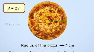 Learn Circles - Radius, Diameter & Circumference - Part 1/2