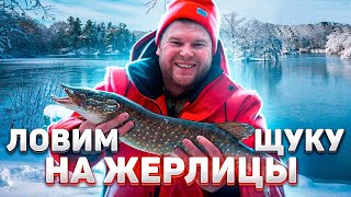 видео: О ТАКОМ КЛЕВЕ МЕЧТАЕТ КАЖДЫЙ! КРУПНАЯ ЩУКА НА ЖЕРЛИЦЫ. картинка: О ТАКОМ КЛЕВЕ МЕЧТАЕТ КАЖДЫЙ! КРУПНАЯ ЩУКА НА ЖЕРЛИЦЫ.