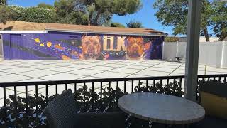 Bossy Office the largest and most renowned American Bully Kennel in the world! Office sneak peek