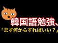 【2分で分かる韓国語講座#01】韓国語勉強、まず何からすればいいの？