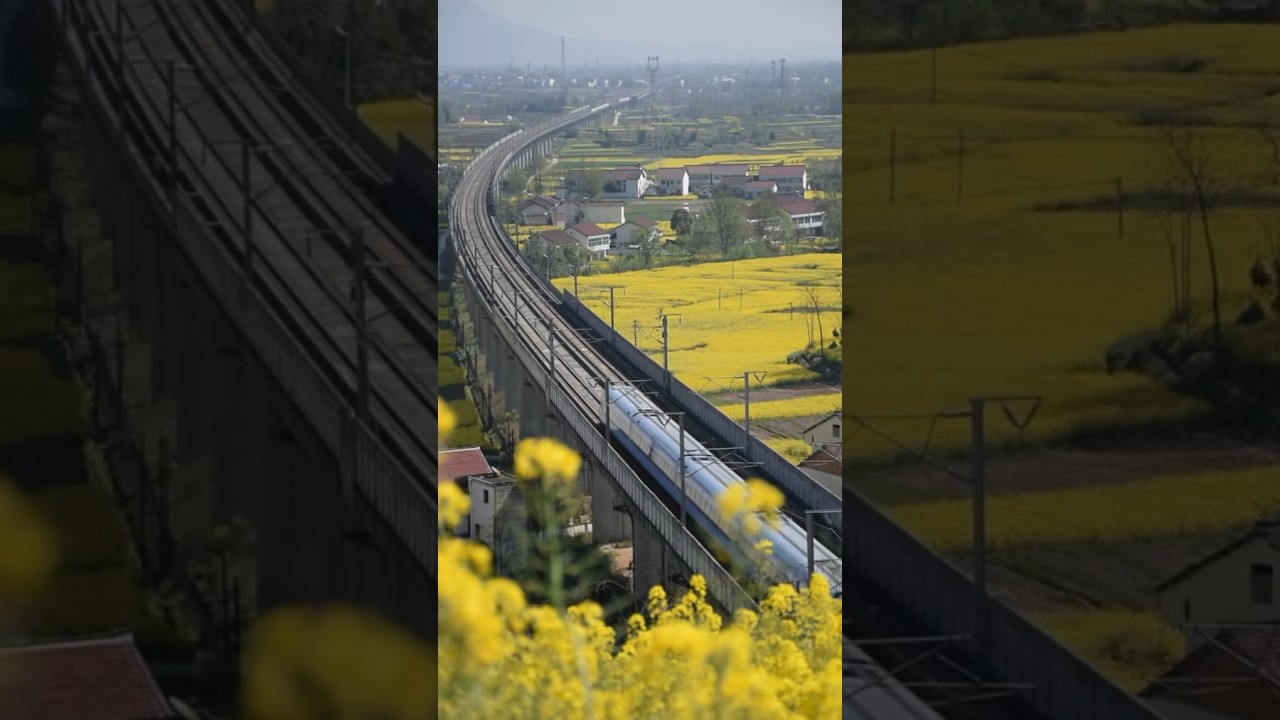 Fuxing hao CR300BF🚅🫶📹🇨🇳 