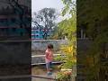 ছাদে এসে ইরাম গাছে পানি দিচ্ছে।