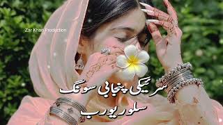 Saraiki Punjabi Song Eha Wehm Hase ایا وہم ہا سے | Slowed Reverb