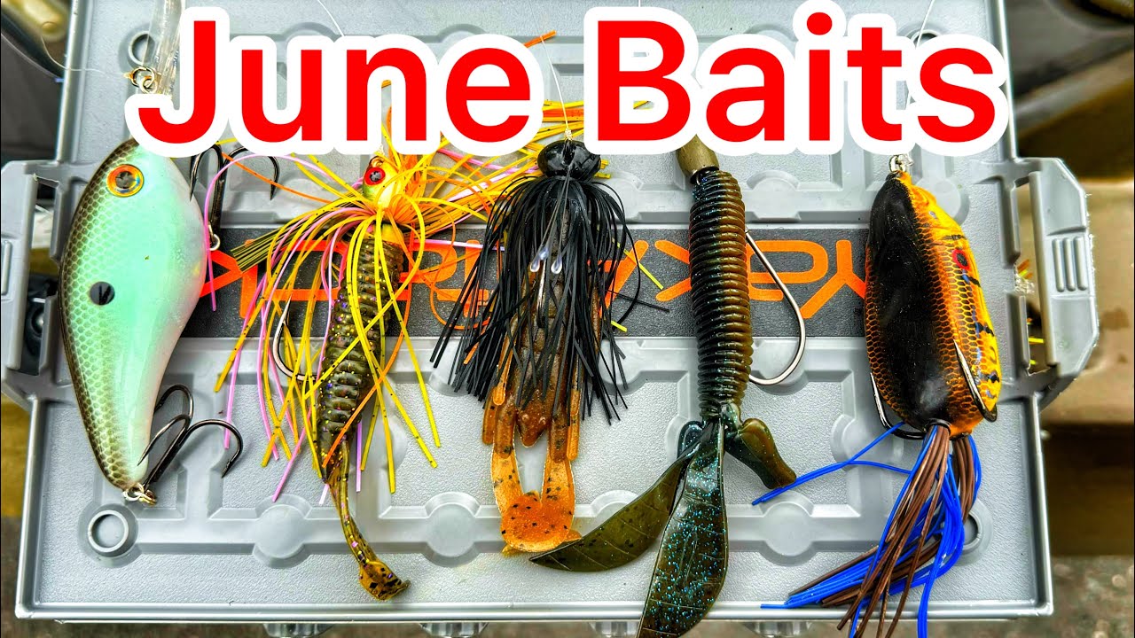 5 Baits for Bass Fishing in June Bass Manager The Best Bass Fishing