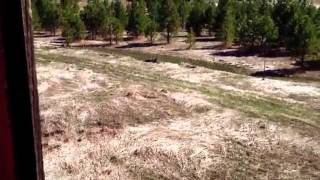 Windigo Sighting 2013 Slender Man Like Creature