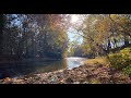 4k winter morning walk to the catawissa creek at the farm