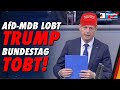 Karsten Hilse hofft auf Wahlsieg von Trump! - Bundestag is not amused 😁 - AfD-Fraktion im Bundestag