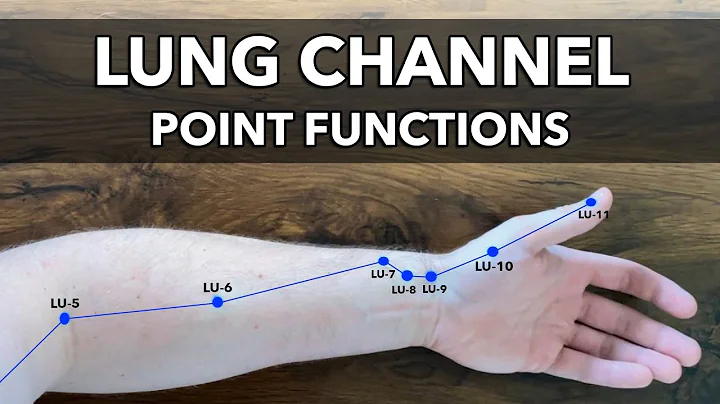 Lung Channel - Point Functions & Indications - DayDayNews