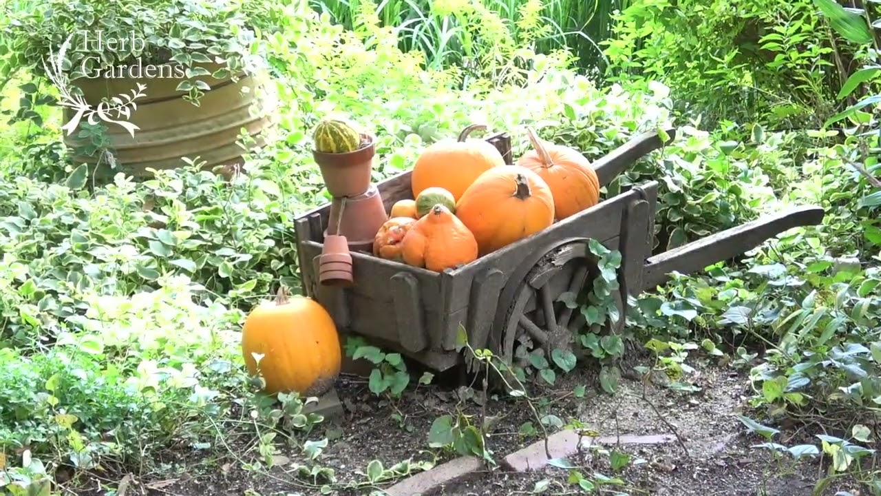 公式】ハロウィンフェア2024｜神戸布引ハーブ園／ロープウェイ｜Kobe