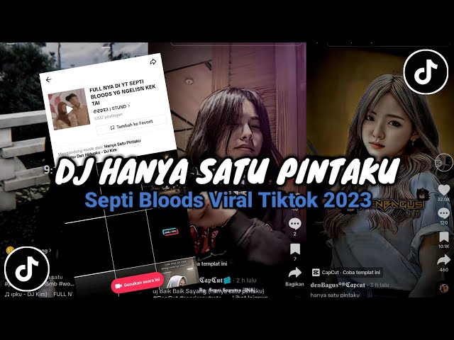 Dj Hanya Satu Pintaku Septi Bloods Viral Tiktok 2023 Dj Baik Baik Sayang Septi Bloos Viral Tiktok class=