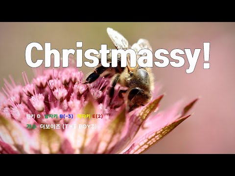 [은성 반주기] Christmassy! - 더보이즈(THE BOYZ)