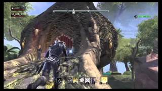 Elder Scrolls Online - Pact Advocate