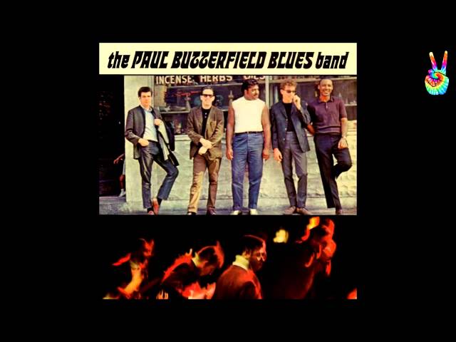 Paul Butterfield - Got My Mojo Workin