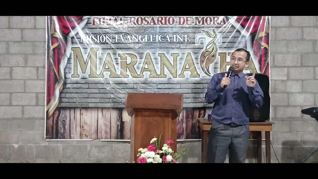 POR NADA ESTÉIS AFANOSOS 13-02-2026