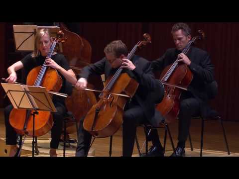 BEETHOVEN (arr. strings) Grosse Fugue, Op.133 | Australian Chamber Orchestra & Richard Tognetti