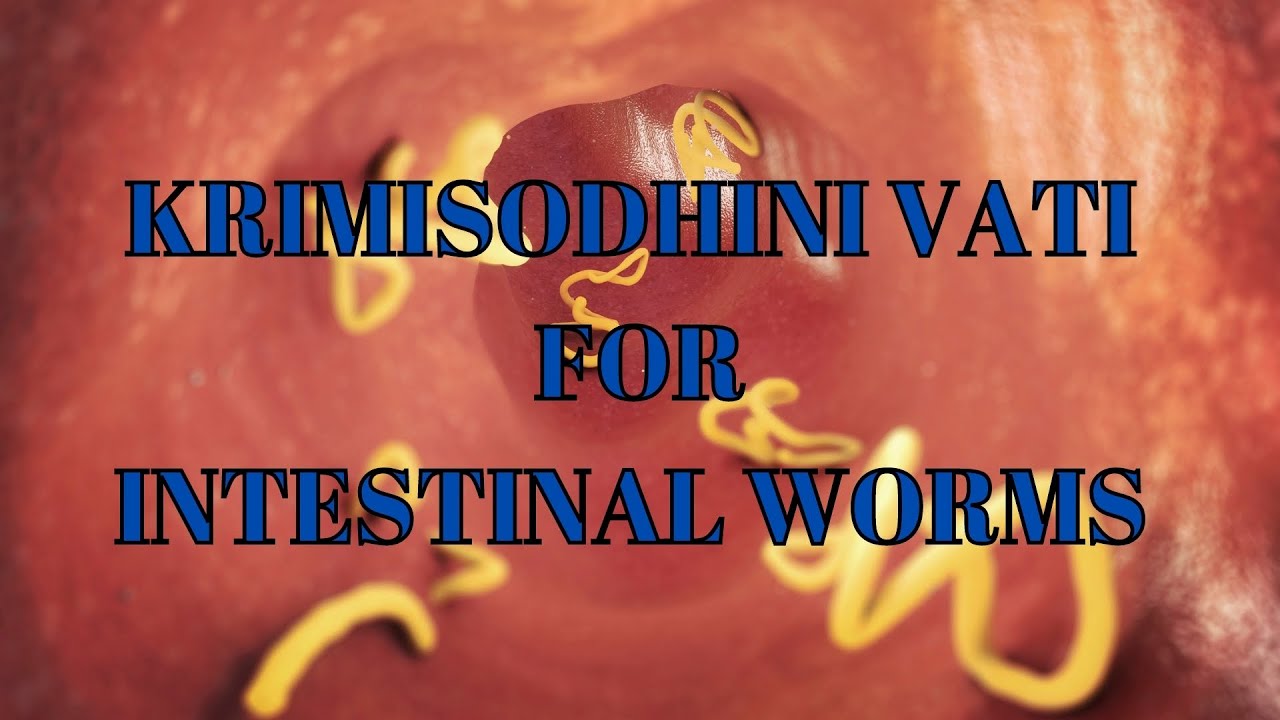 Krimishodhini vati - Indications, ingredients, dosage etc - YouTube