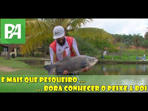 Bem mais que um pesqueiro ... Bora conhecer o Peixe & Boi - Pescando entre Amigos S0804