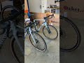 Which gravel bike are you choosing?😍 #buycycle #canyonbikes #cubebikes #short  #gravelbike