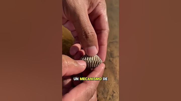 FOUND a very VALUABLE pearl inside this oyster 🤩🤑