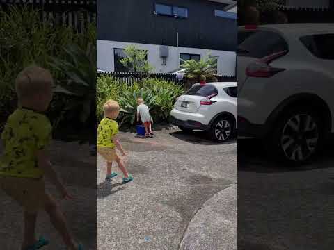 Когда лето в Новой Зеландии? | 1 января в НЗ | Влог о Новой Зеландии Малова #новаязеландия