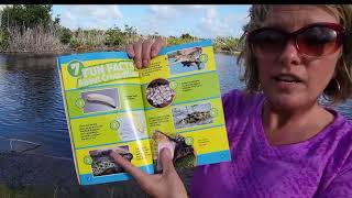 Alligators and Crocodiles read aloud from Everglades National Park