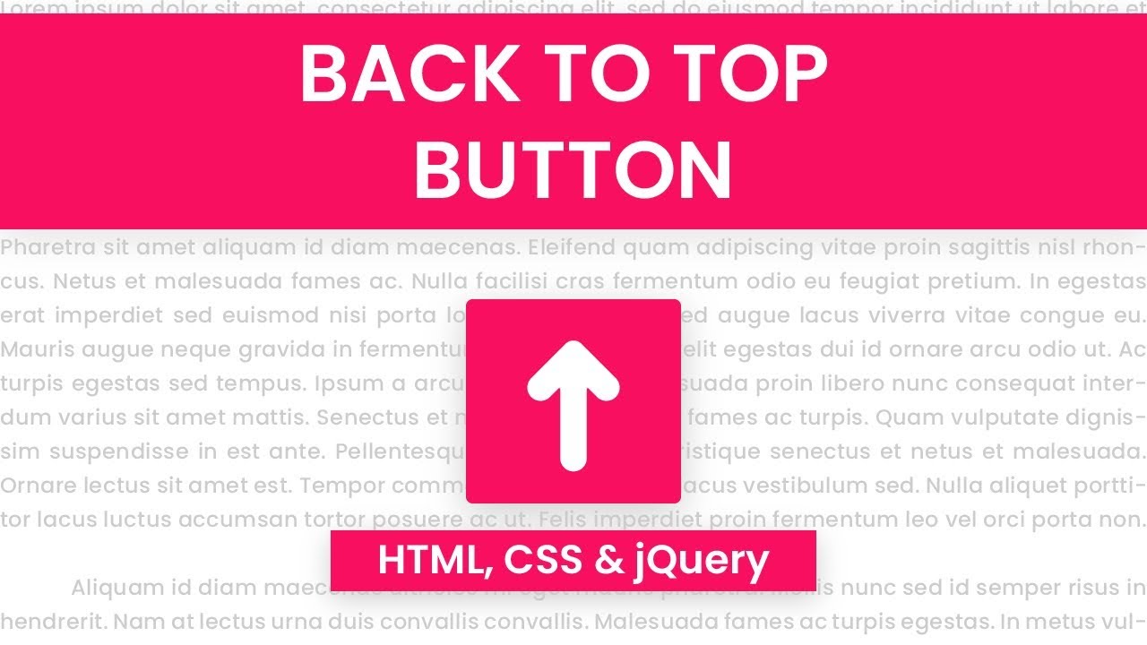Back to top. Top html. Back to Top button. Back Top button. Back button html.