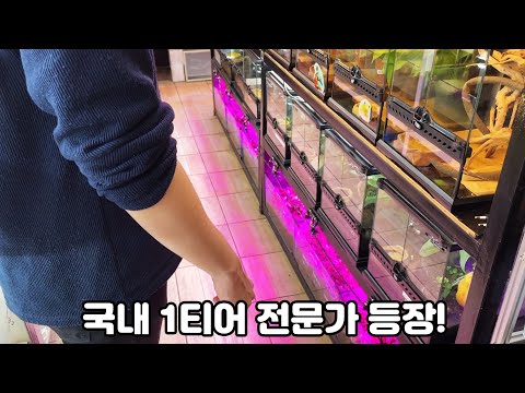 국내 최고 <strong>양서류</strong> 도사가 관리하는 청계천 샵 은 다르네요ㄷㄷ 정말 많다!