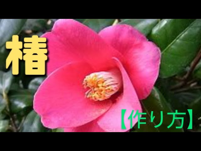 Clay Flower DIY クレイフラワー粘土で創作する【椿】の作り方 - YouTube