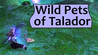 Wild Battle Pets of Talador- Draenor Safari Guide